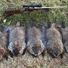 HillbillyLongRifle