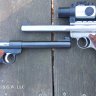 SGW Gunsmith