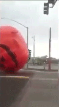 tumblr_nx6ogk78Nw1rc7zl1o3_250.gif