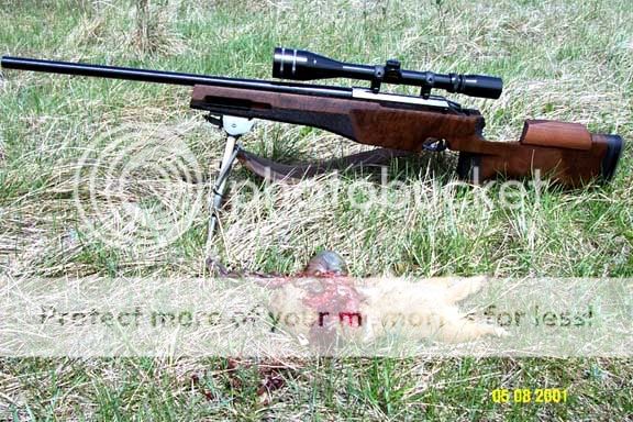 Tikka_1st_Blood_Side_View.jpg