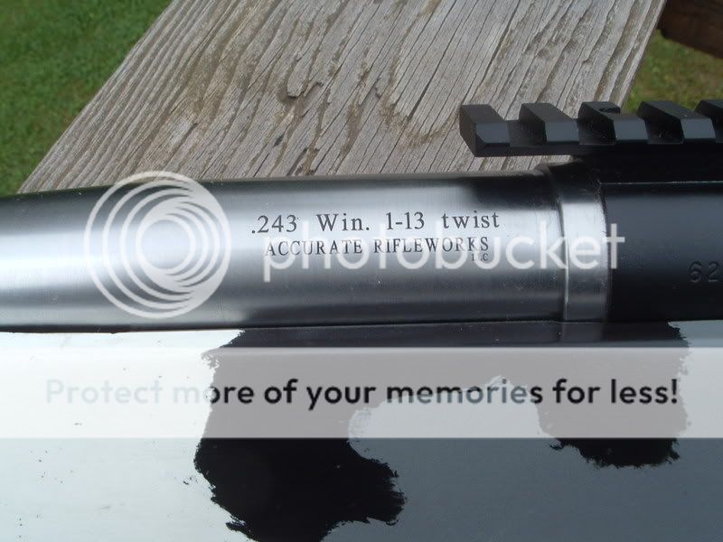 2008pig141.jpg