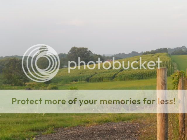 IMGP0001-010.jpg
