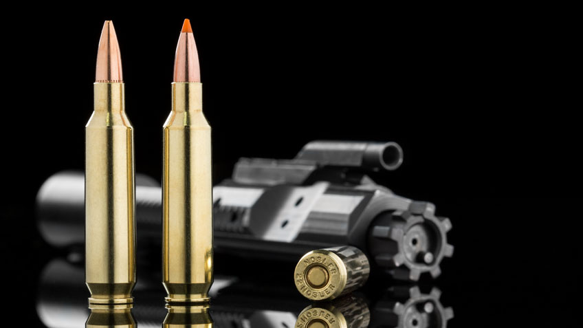 www.shootingillustrated.com