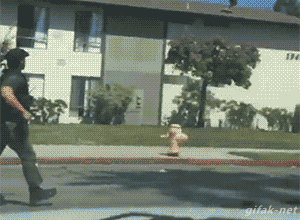 tumblr_nqi6whdMSu1s2yegdo1_400.gif