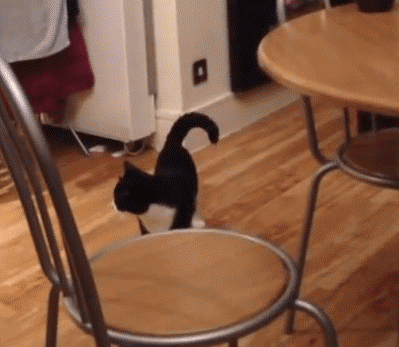 tumblr_pszldeh6001ukxxj7o1_400.gif