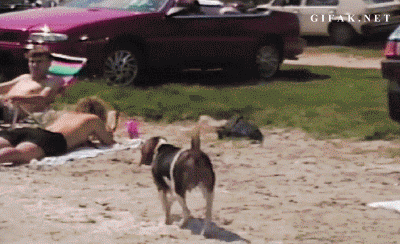 tumblr_pnnbp5Frob1uydzi3_400.gif