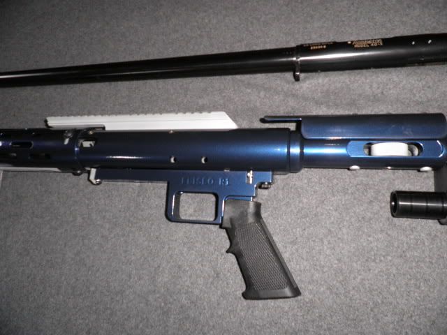 306.jpg
