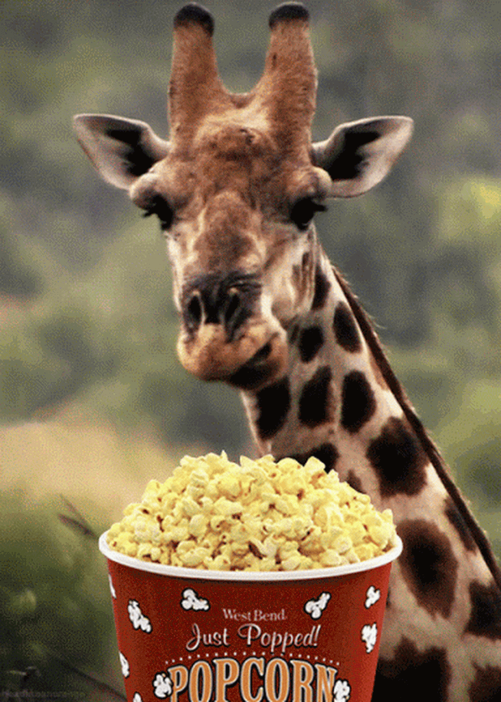 905BFF58-653F-4C06-B6DF-E89C6E5FB3A4.gif