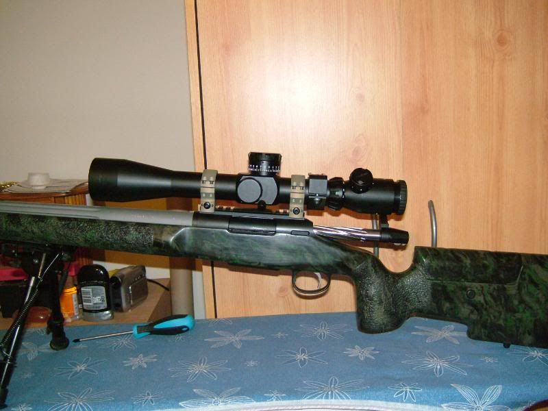 newgun008.jpg