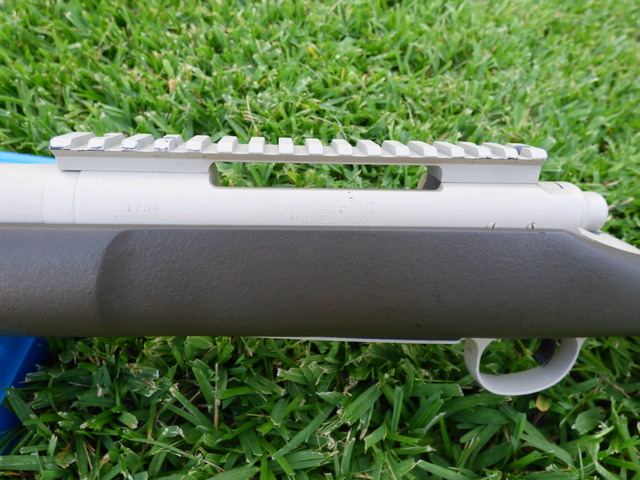 Lactioncloseup.JPG