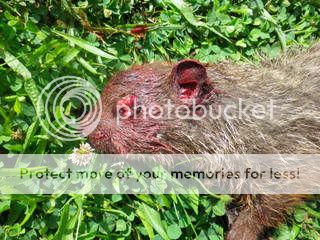 IMGP0012-001.jpg