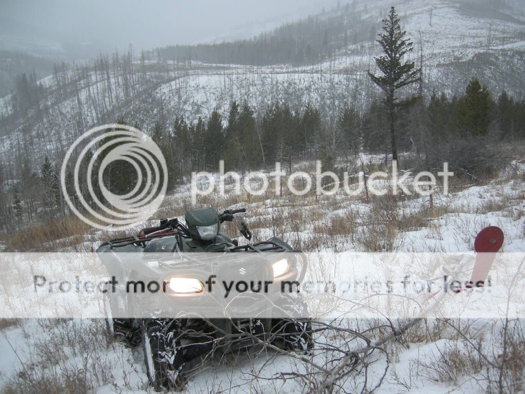 brokeback021.jpg