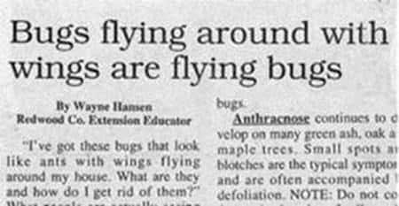 stupid-news-headlines-3.jpg