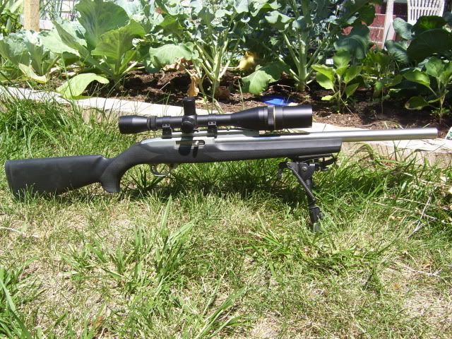 100_1143.jpg