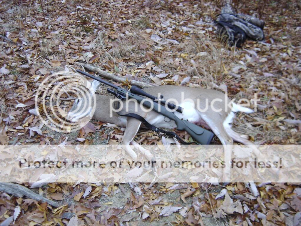 hunting08022.jpg