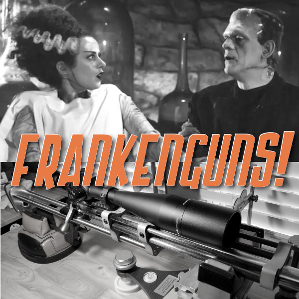 frankgun1901.jpg