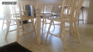 tumblr_plii41aJnj1y0s4d1o1_400.gif