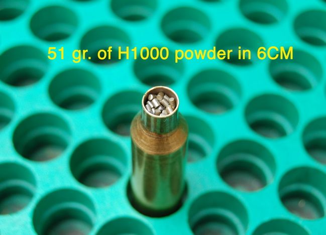 51grH1000in6CM.jpg
