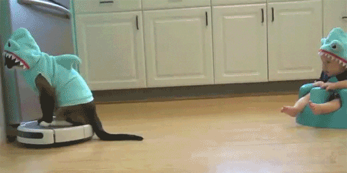 tumblr_nafq99kJ5h1ry46hlo1_500.gif