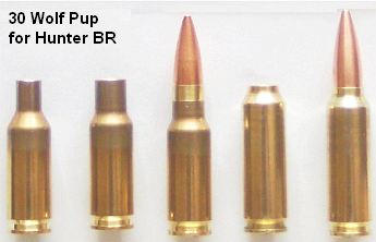 wolfpupx345.jpg