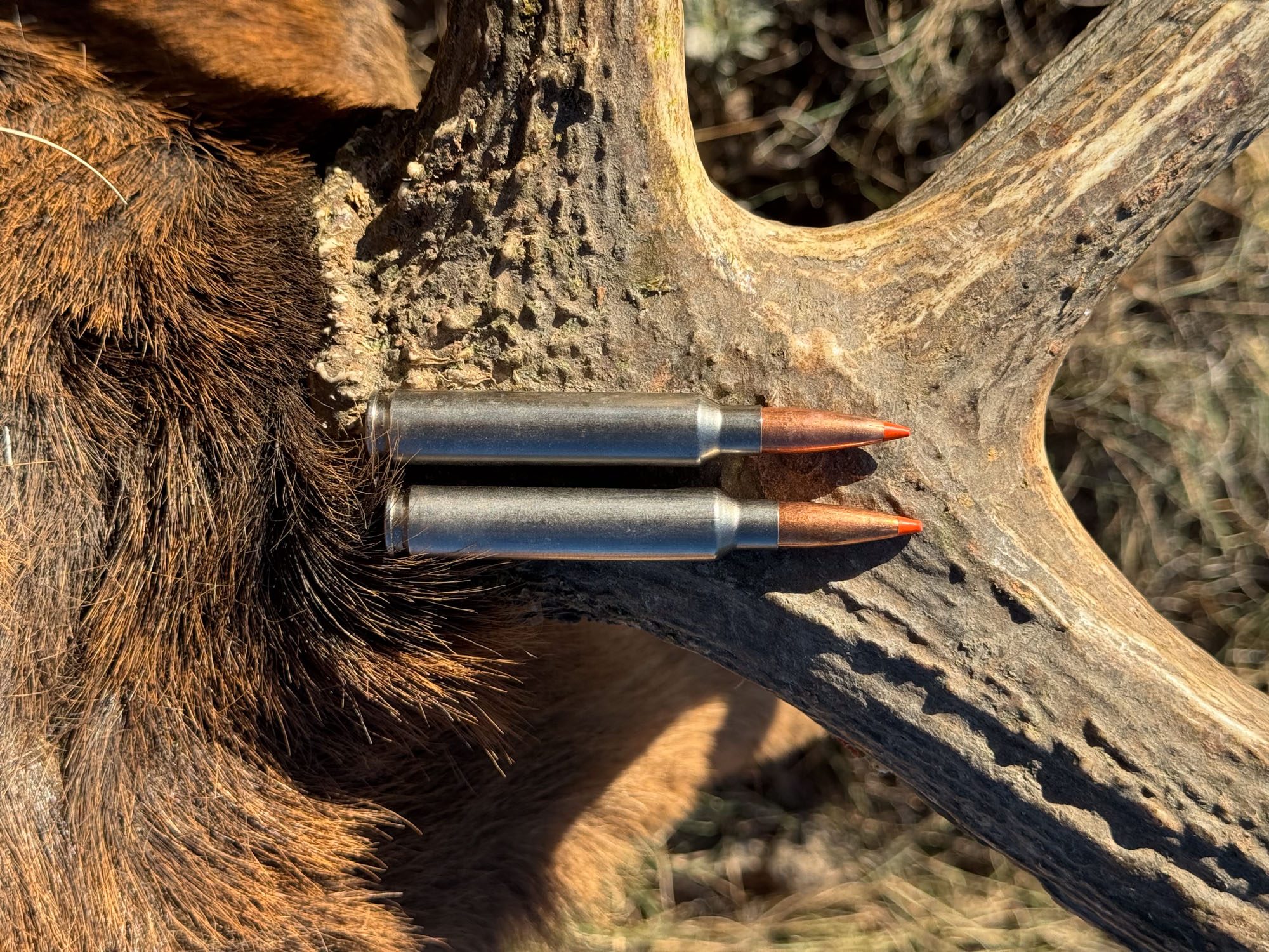 www.outdoorlife.com