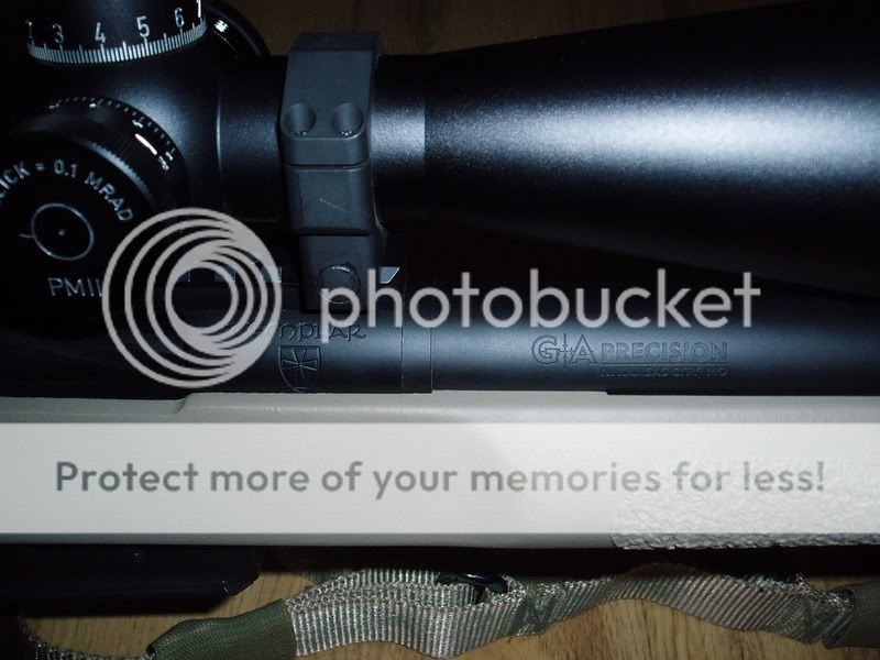P1010014-1.jpg