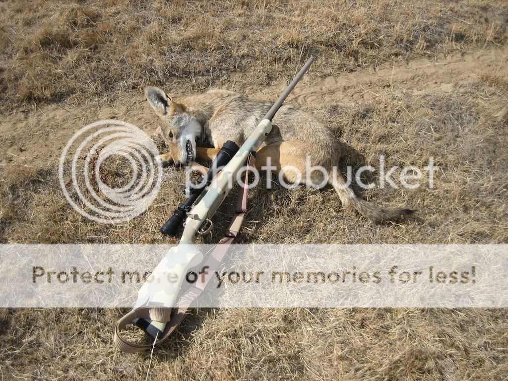 IMG_0386.jpg