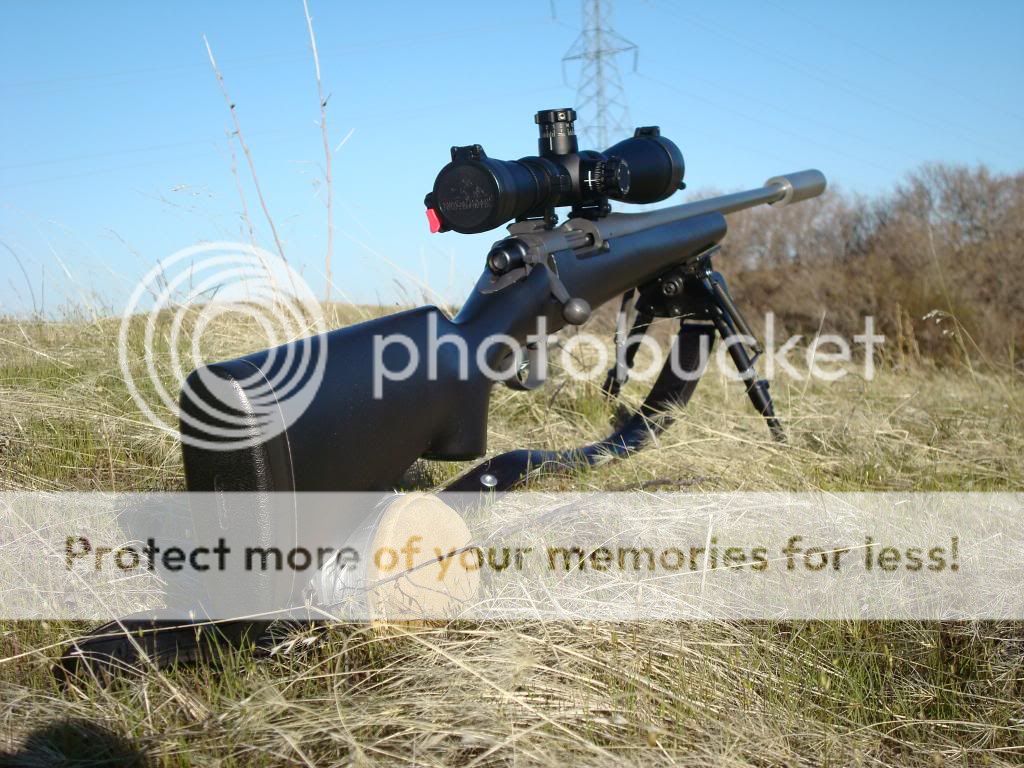 Pro-precisionPictures152.jpg