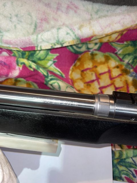 QXmKt5Rl.jpg