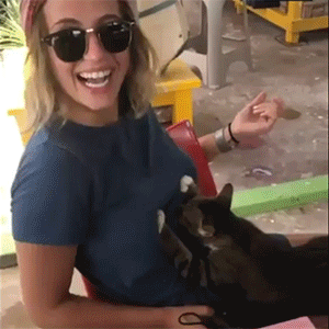 tumblr_prlpzzmD391ry46hlo1_400.gif