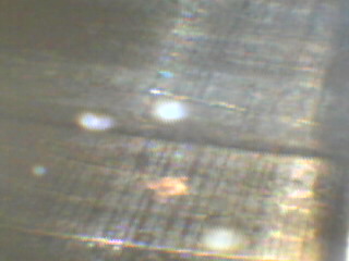 26040275378_e0855d8a32_o.jpg