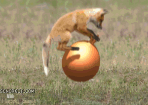 tumblr_p97nckNdWW1vmobp0o1_400.gif