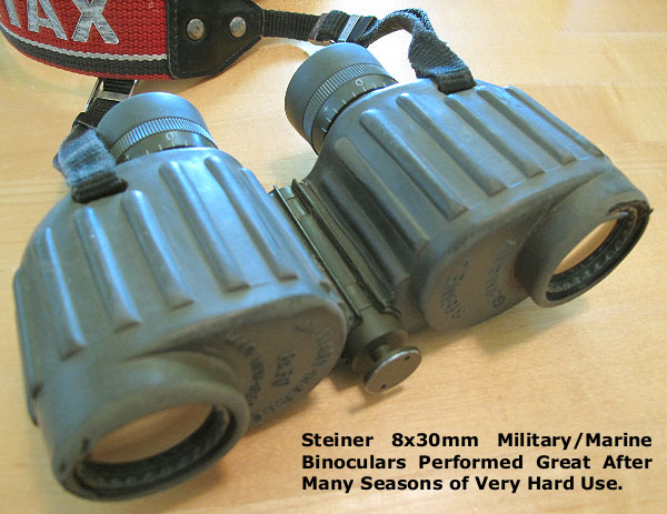 nmsteiner03.jpg