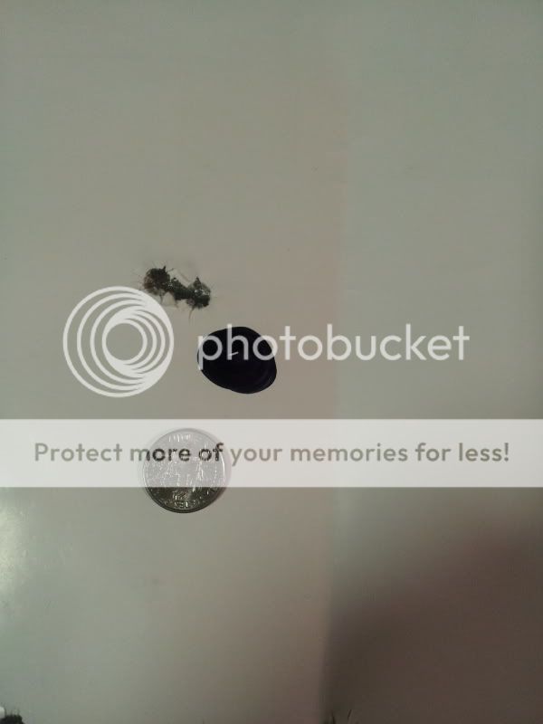 20130210_182926_zps79ff45cf.jpg