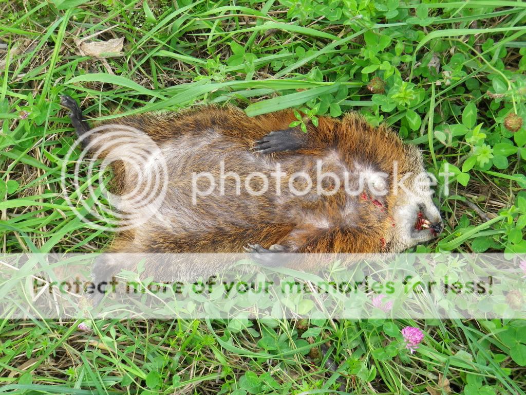 IMGP0179.jpg