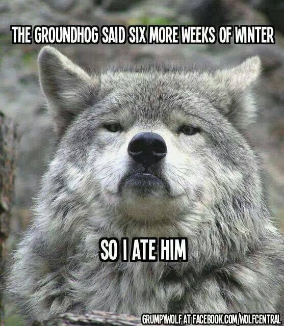 Woodchuckstuff_zps59626878.jpg