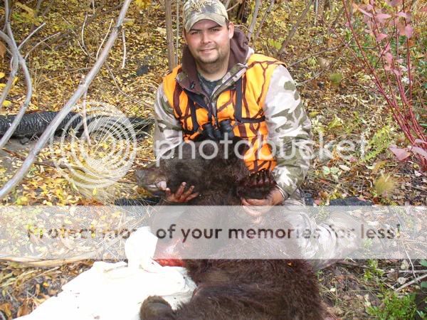 bear.jpg