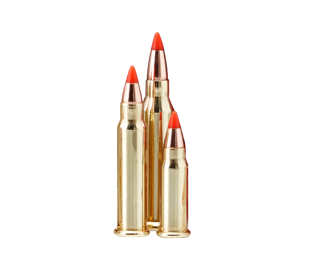 www.hornady.com