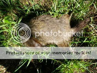 IMGP0001-006.jpg