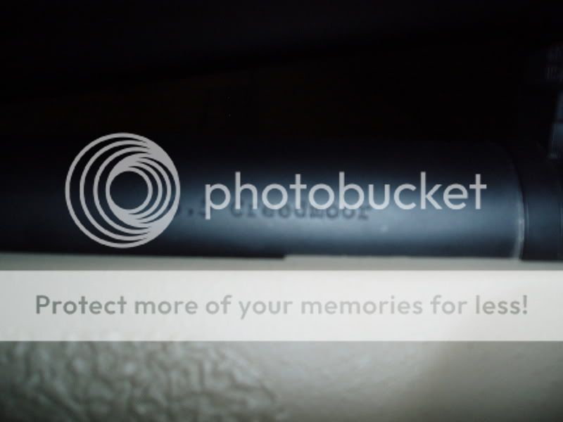 P1010010-3.jpg