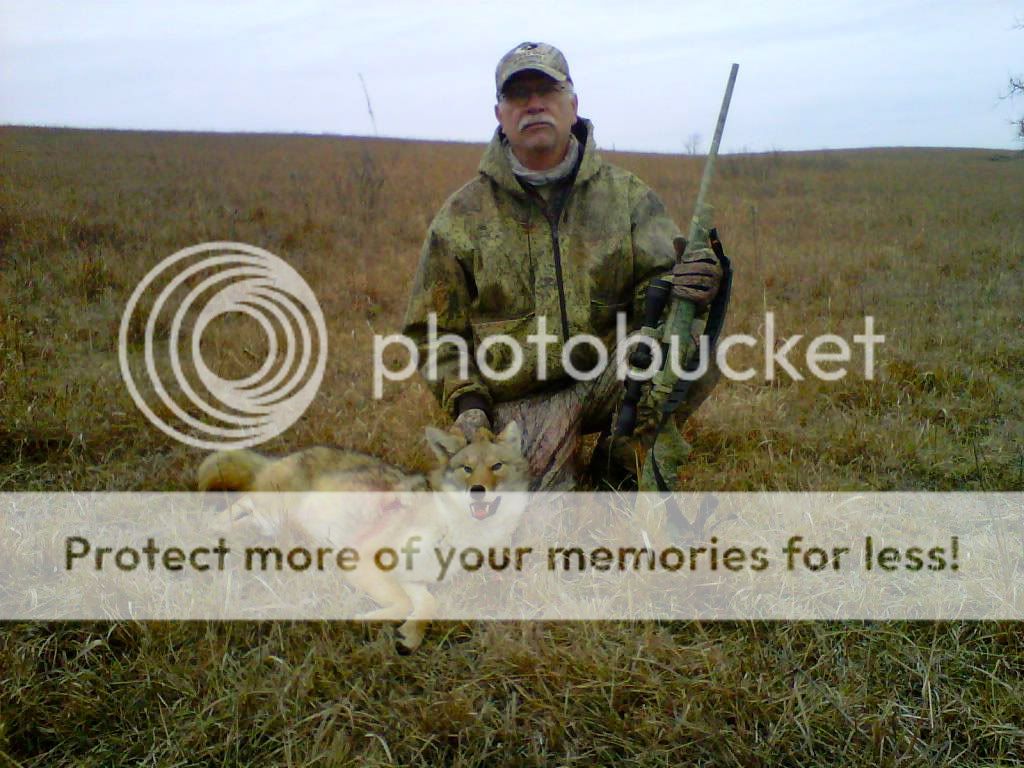 IMG00136-20101218-1214.jpg
