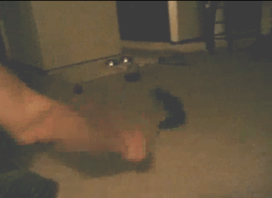 tumblr_pr1rbcjMi51u7gnm9o1_400.gif