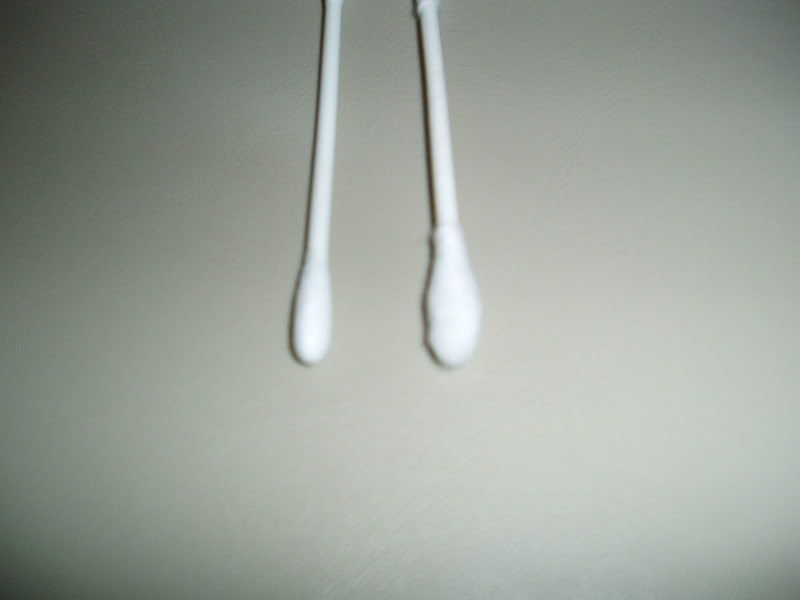 P1010066-1.jpg