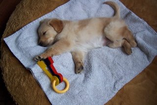7weeks.jpg
