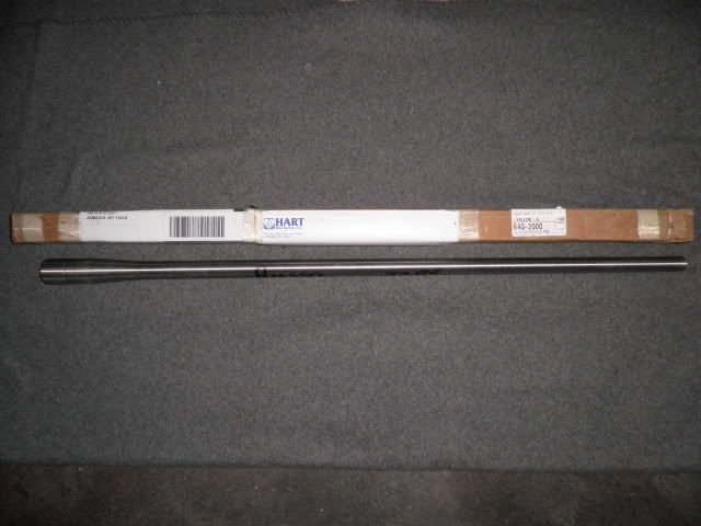 303.jpg