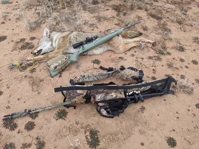4fQ2xj.jpg