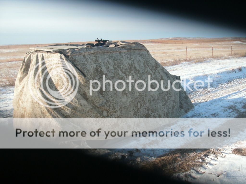 GEDC0758_zpsqsihy6bk.jpg