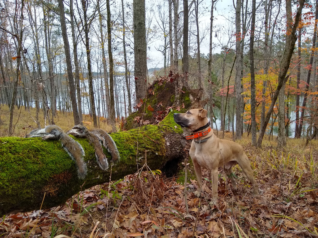 IMG-20201129-102635982-HDR.jpg