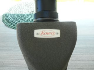 DSCN2669-1.jpg