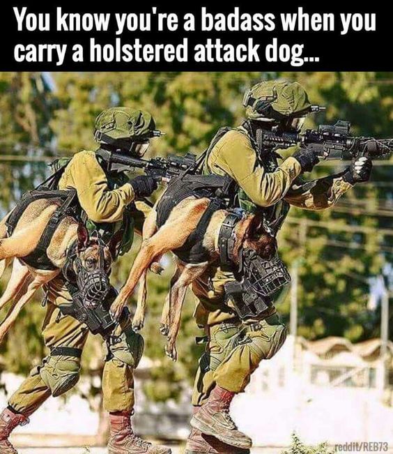 ae0bb5f8e1e0a32d602f5e29b6f3d551.jpg